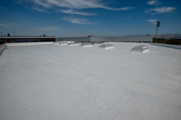 Best Roof Moss and Algae Removal  in Dora, AL