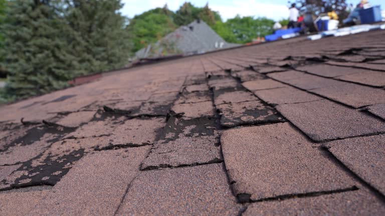 Best Storm Damage Roof Repair  in Dora, AL