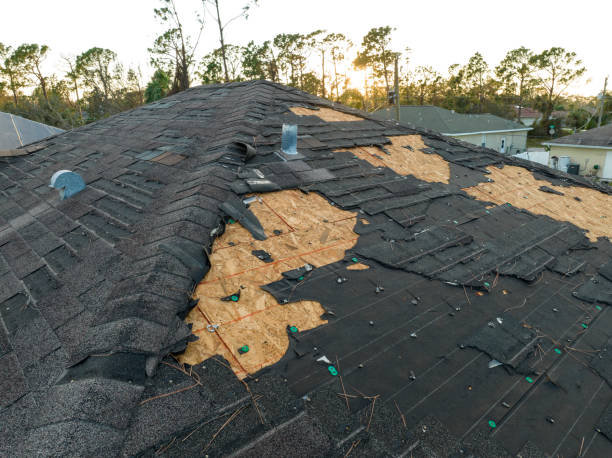 Best Asphalt Shingle Roofing  in Dora, AL